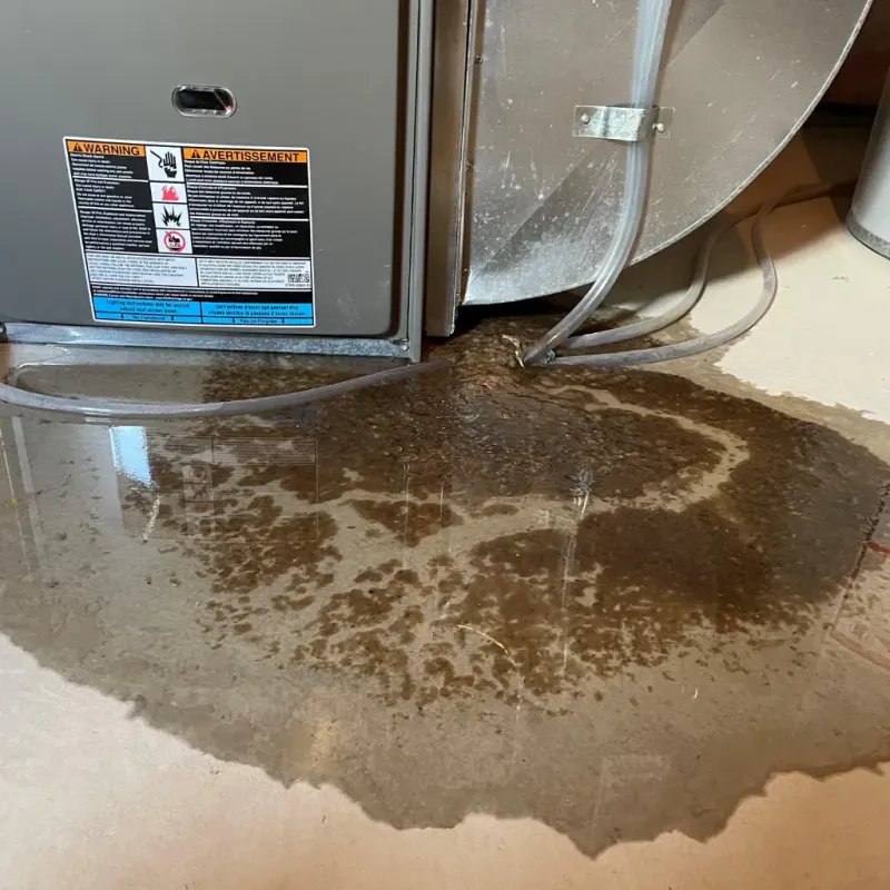 Appliance Leak Cleanup in Elkhart, TX